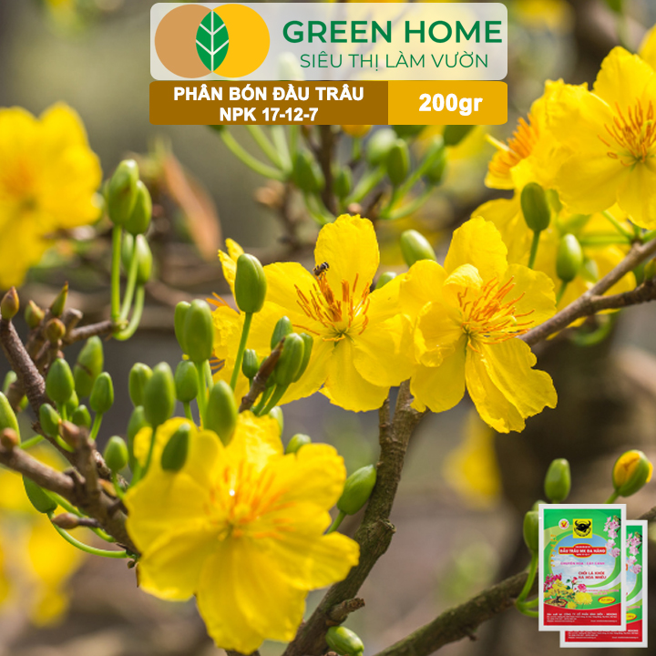 Phân NPK 17-12-7 Greenhome, Đầu Trâu, Bao 200Gr, Chồi Lá Khỏe - Ra Hoa Nhiều, Chuyên Hoa Và Cây Cảnh