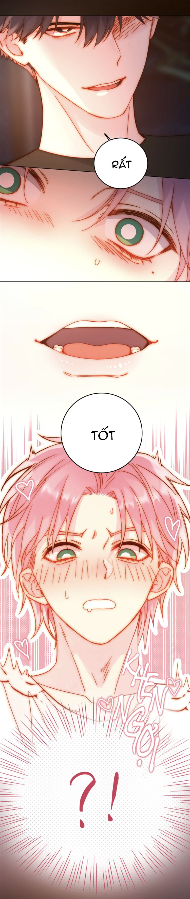 tôi phải làm một kẻ đại xấu xa chapter 56.5 11