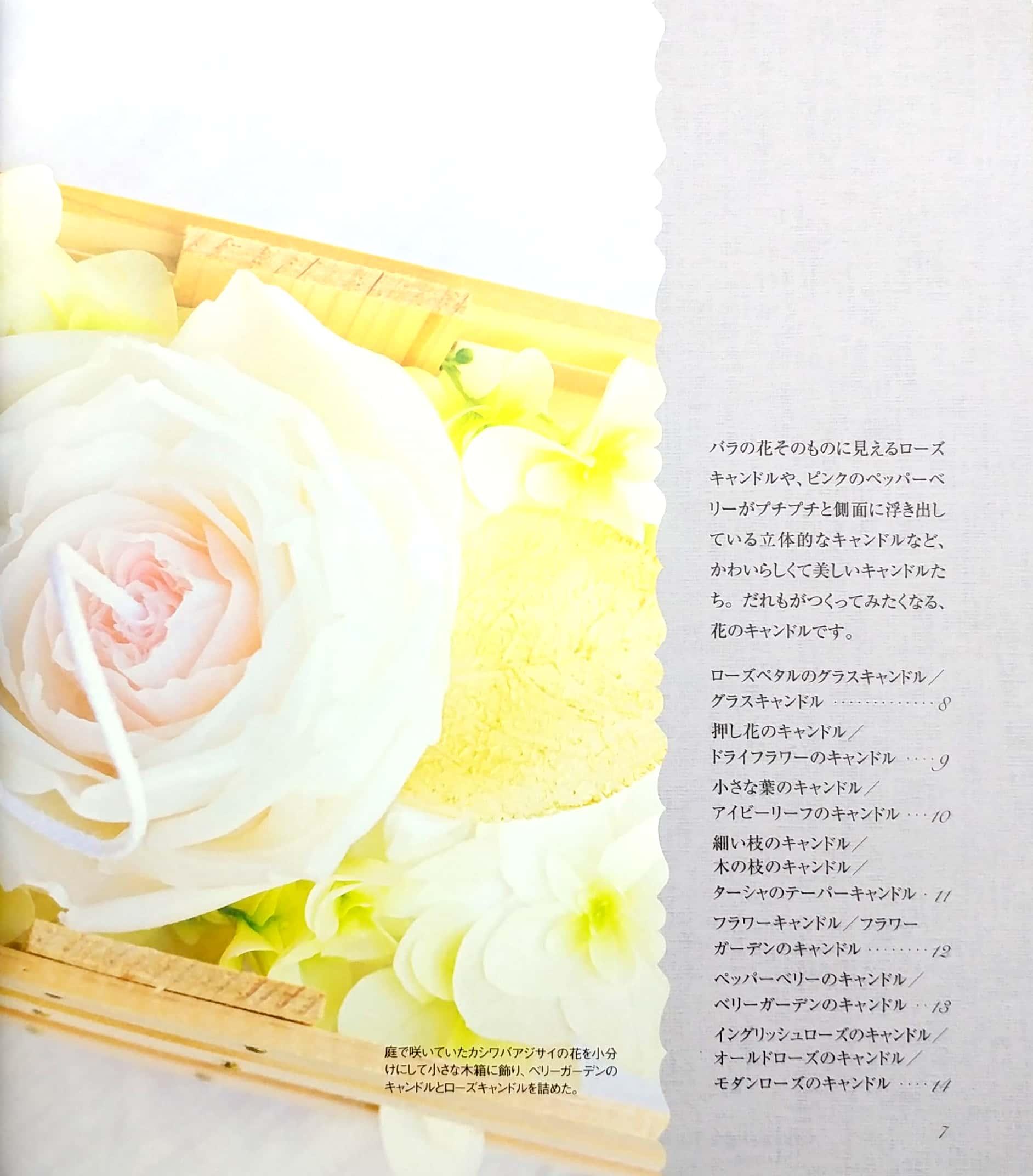 Hajimete No Furawa Kyandoru