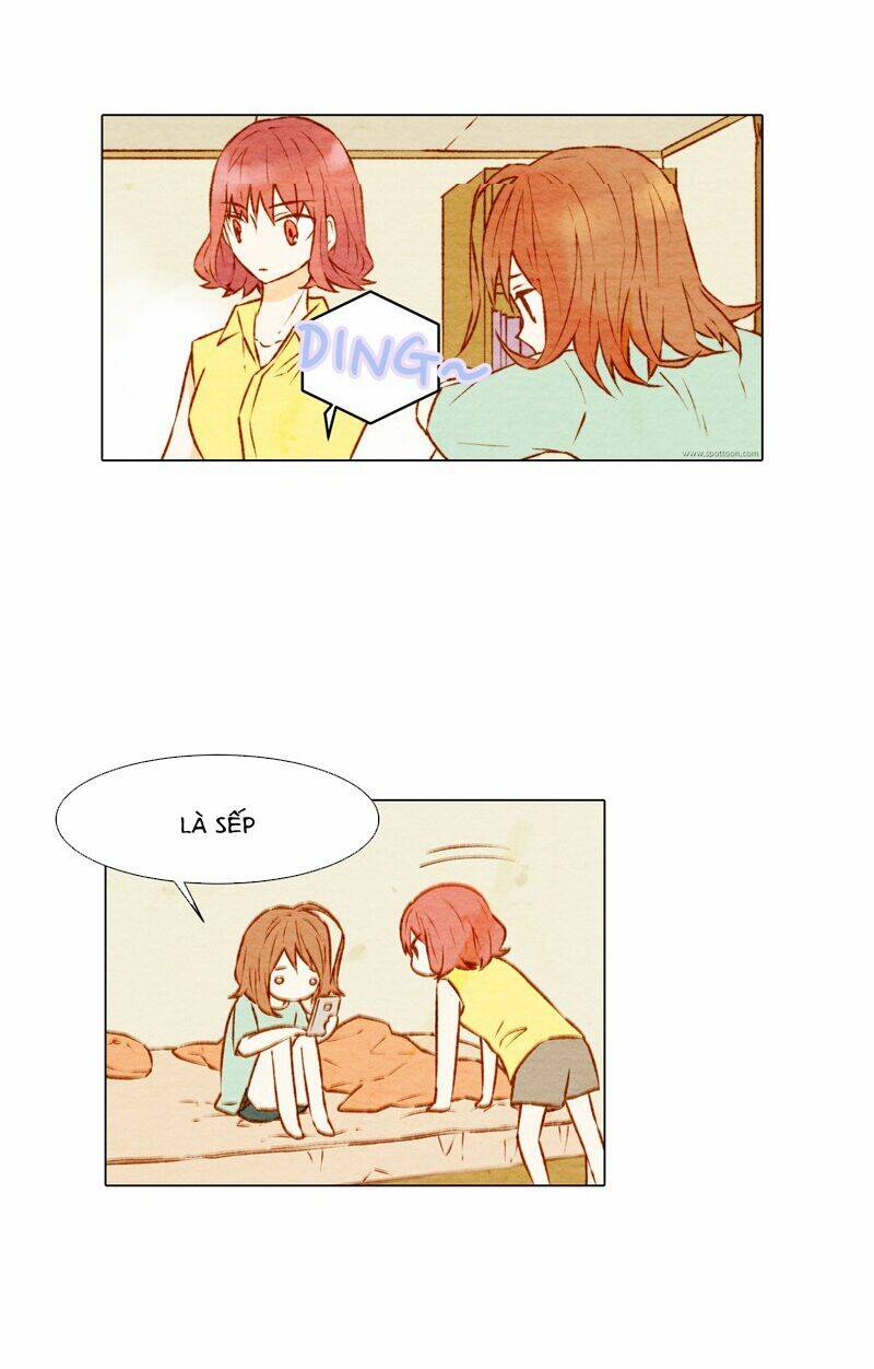 sự sao chép chapter 3 6