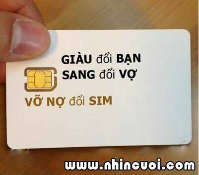 hình ảnh hài hước new chapter 26 15