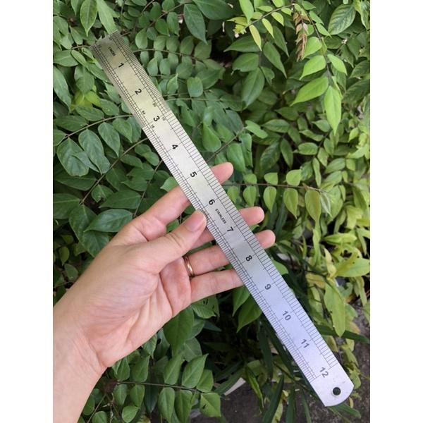 Thước lá thước thẳng 30cm( hàng chuẩn dày)