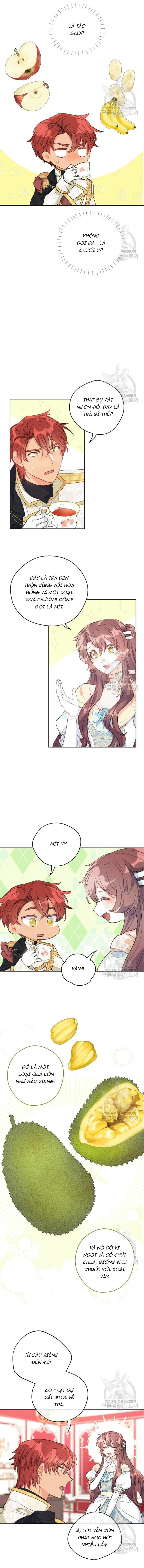 50 công thức pha trà của nữ công tước chapter 103 11