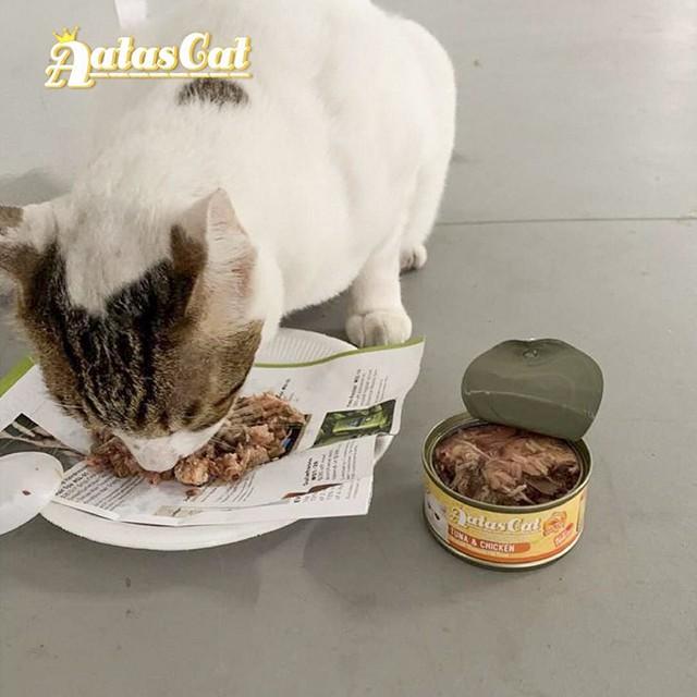 Pate Cho Mèo Con Aatas Cat 80g Nguyên Chất Từ Cá Ngừ Mix Với 12 Vị Thơm Ngon - Không Chất Bảo Quản