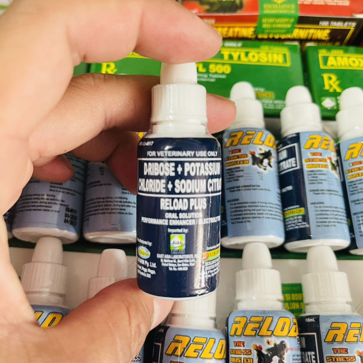Reload Plus 15ml - Chống Rớt Bo Cho Gà Đi Xa-Vận Chuyển Lâu