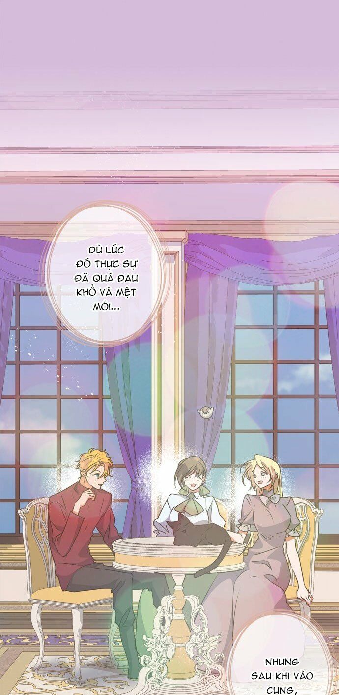 tôi đang nuôi dưỡng một con quái thú chapter 51 62