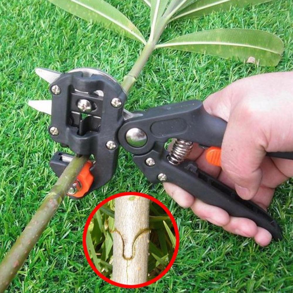 Kéo chuyên dùng ghép cây - Tặng cuộn giấy ghép tự hủy