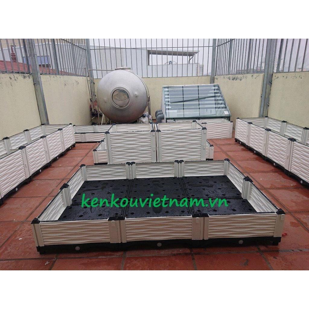 Chậu ghép thông minh 200 x 100 Việt Nam, chậu trồng rau, hoa, cây cảnh