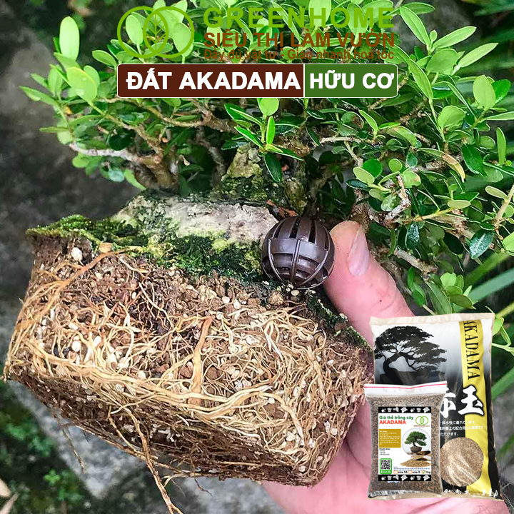 Đất Akadama Greenhome, Giá Thể Bonsai, Kiểng Lá, Sen Đá, Phân Nền Thủy Sinh, Nhiều Dưỡng Chất