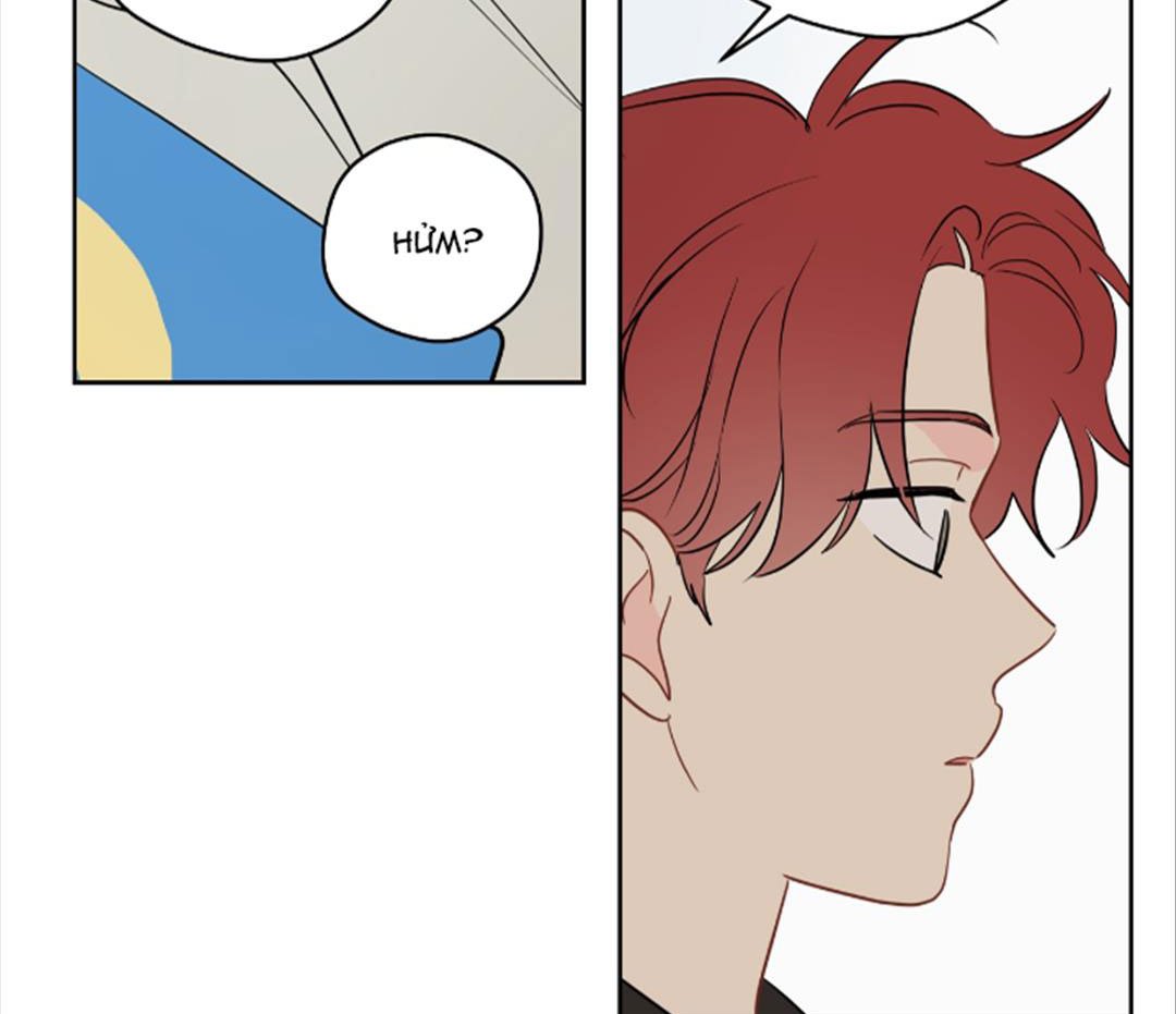chuyện quái gì với giấc mơ đó vậy chapter 42 39
