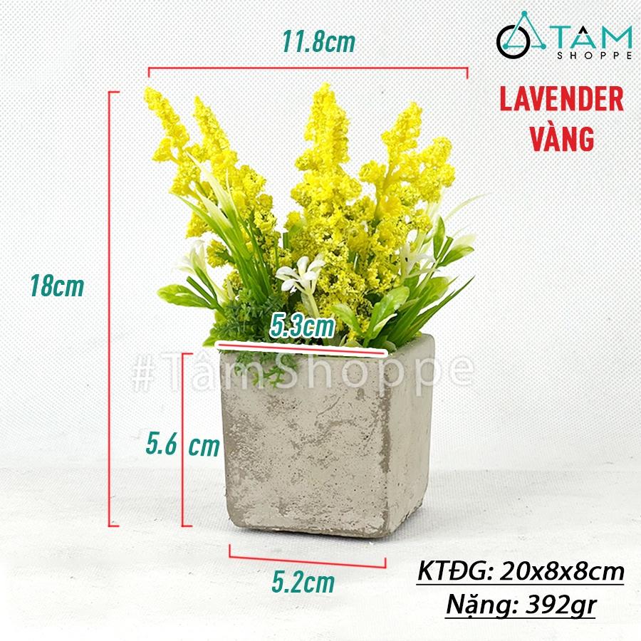 Chậu hoa lavender giả đề bàn hoa xốp chậu xi măng CHDB-105