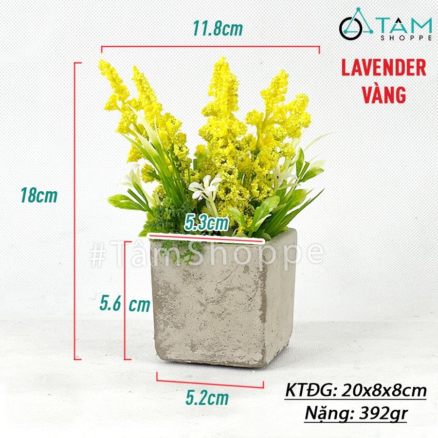 Chậu hoa lavender giả đề bàn hoa xốp chậu xi măng CHDB-104