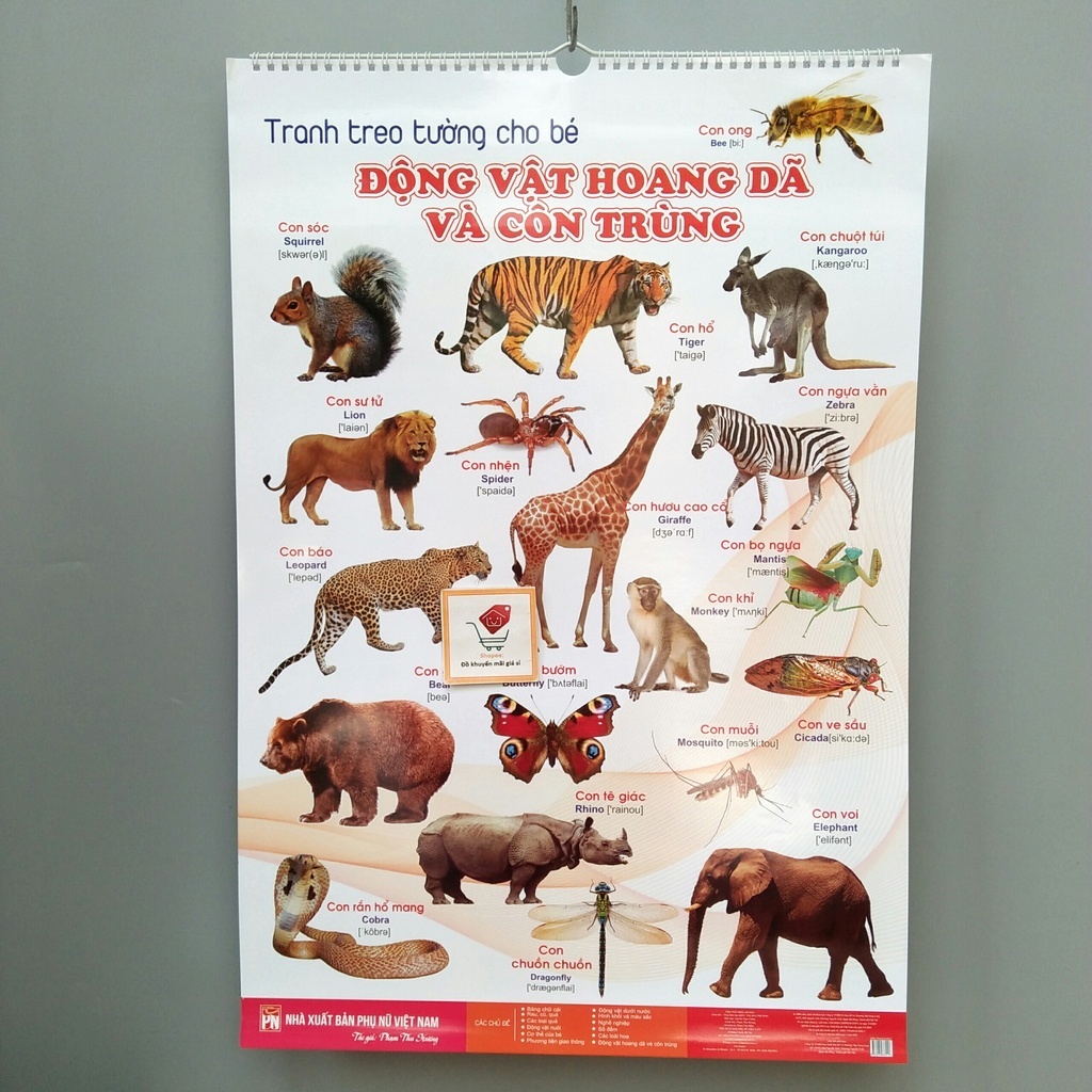 Bộ Tranh Treo Tường 14 Chủ Đề Về Thế Giới Xung Quanh Cho Bé Từ 1-5 Tuổi Đa Dạng Chủ Đề Tăng Khả Năng Nhận Biết Cho Trẻ