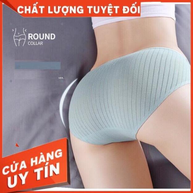 Quần Lót Cotton Gân Tăm Không Đường May Kháng Khuẩn
