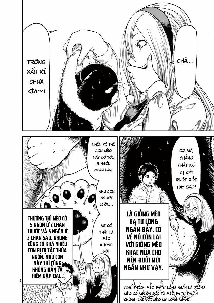 nữ vương của máu và tro chapter 0 2