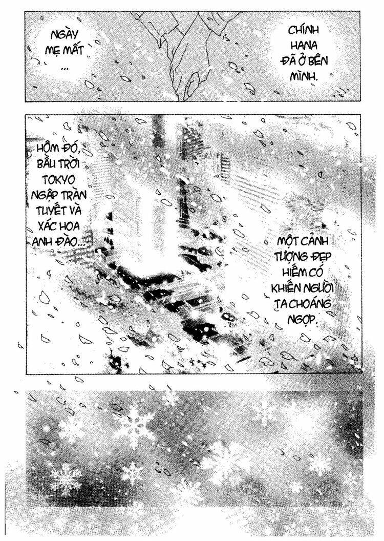 7 mầm sống chapter 24 3