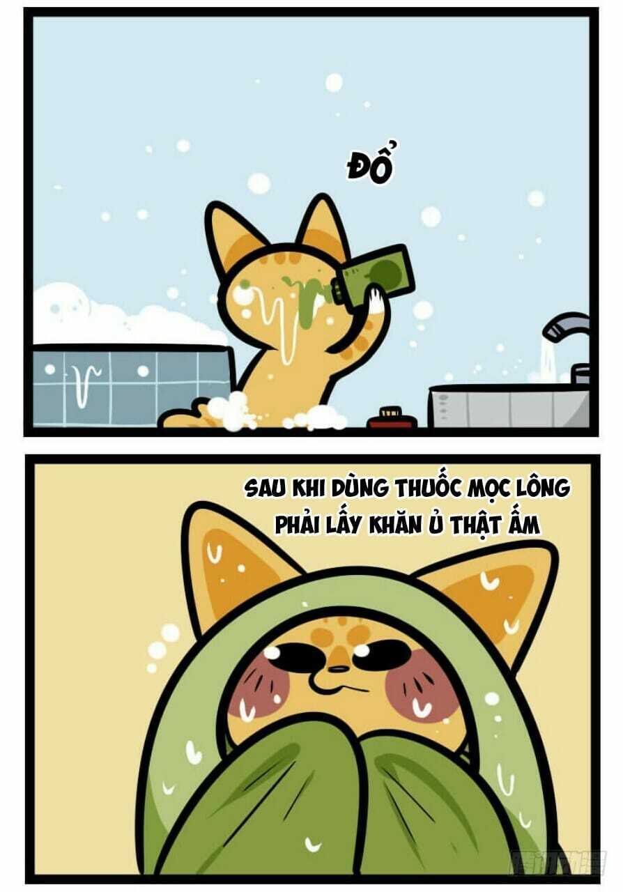 đời không như mình tưởng chapter 35 8