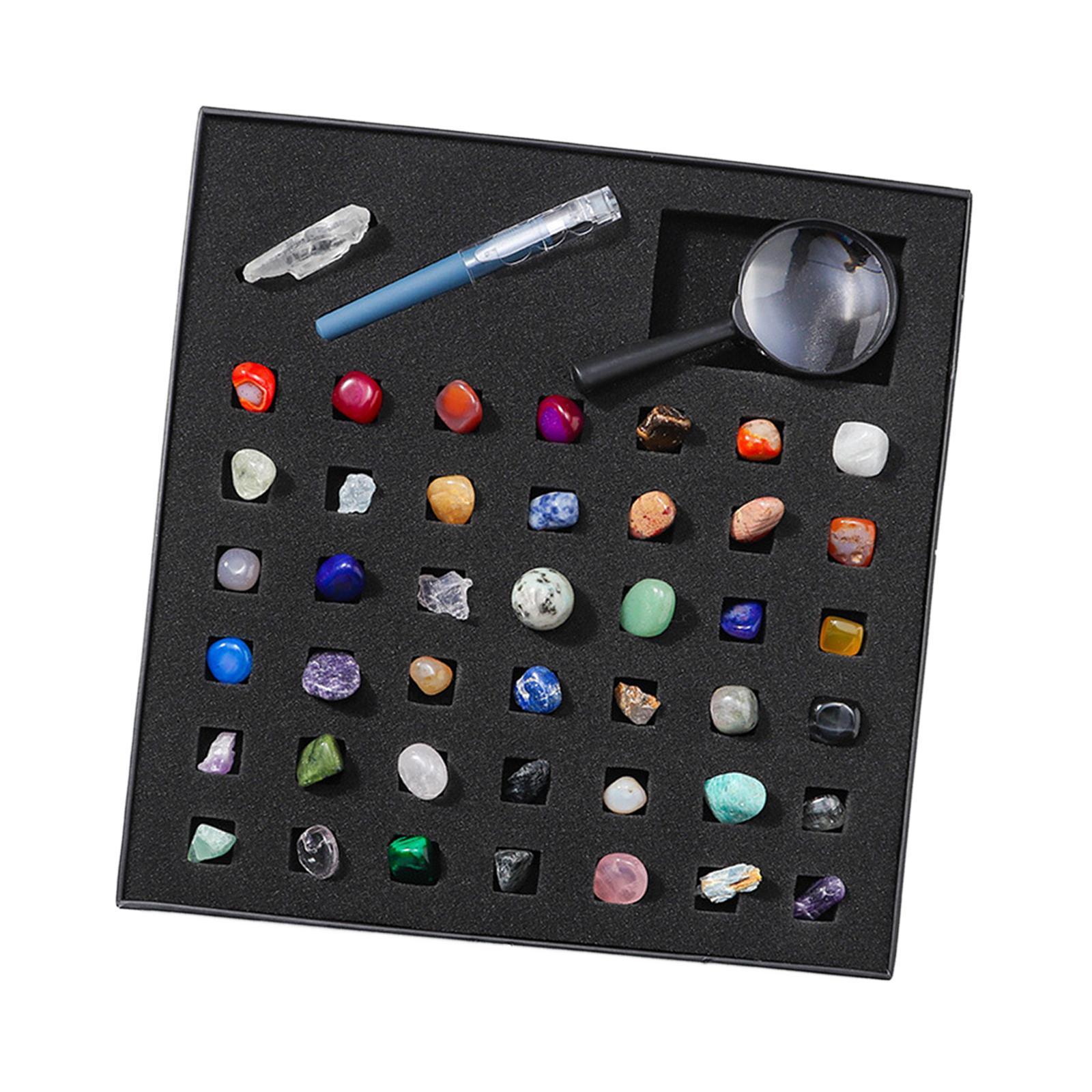 Rock and Mineral Collection Geology Educational Toys Activities for Decors