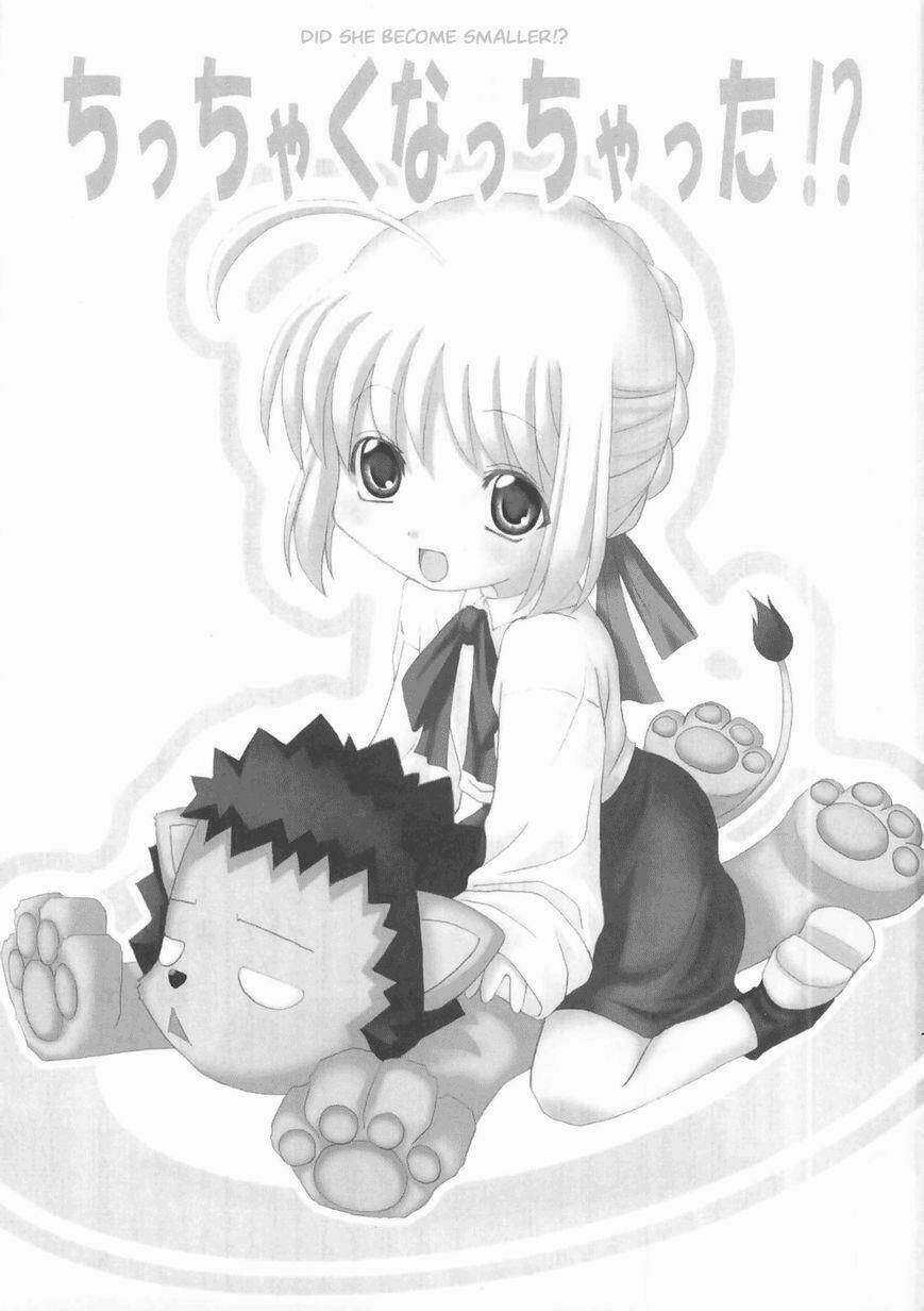 chén thánh: đêm định mệnh - tổng hợp doujinshi chapter 3 2