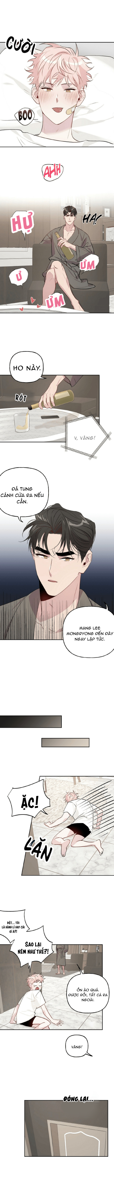 bạn có tò mò về bài review? chapter 12 6