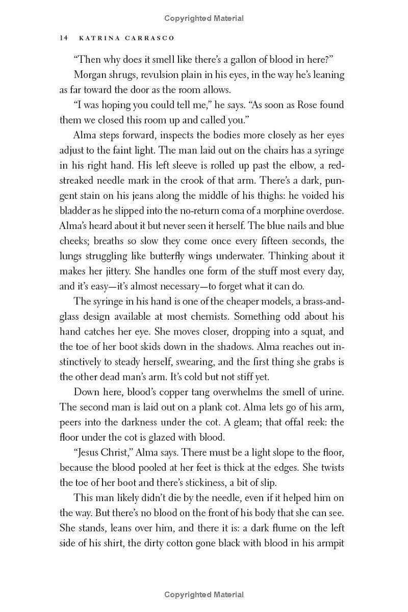 Sách ngoại văn: Rough Trade - A Novel