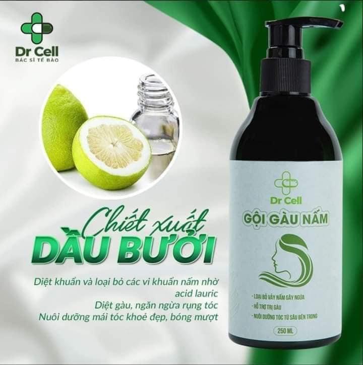 Gội Gàu Nấm Dr Cell 250ml hỗ trợ làm sạch gàu nấm da đầu dưỡng tóc hỗ trợ mọc tóc con giảm rụng tóc - Hàng Chính Hãng