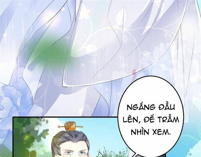 hoa nhan sách chapter 37.1 37