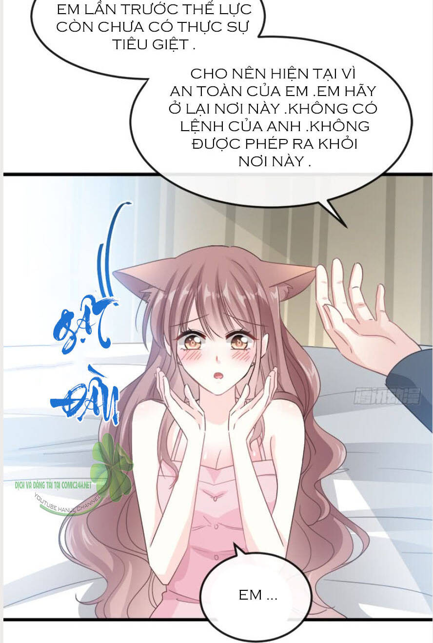 bá đạo tổng tài nhẹ nhàng yêu chapter 30.1 8