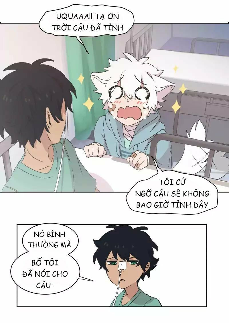 lumine - cội nguồn ánh sáng chapter 31 14