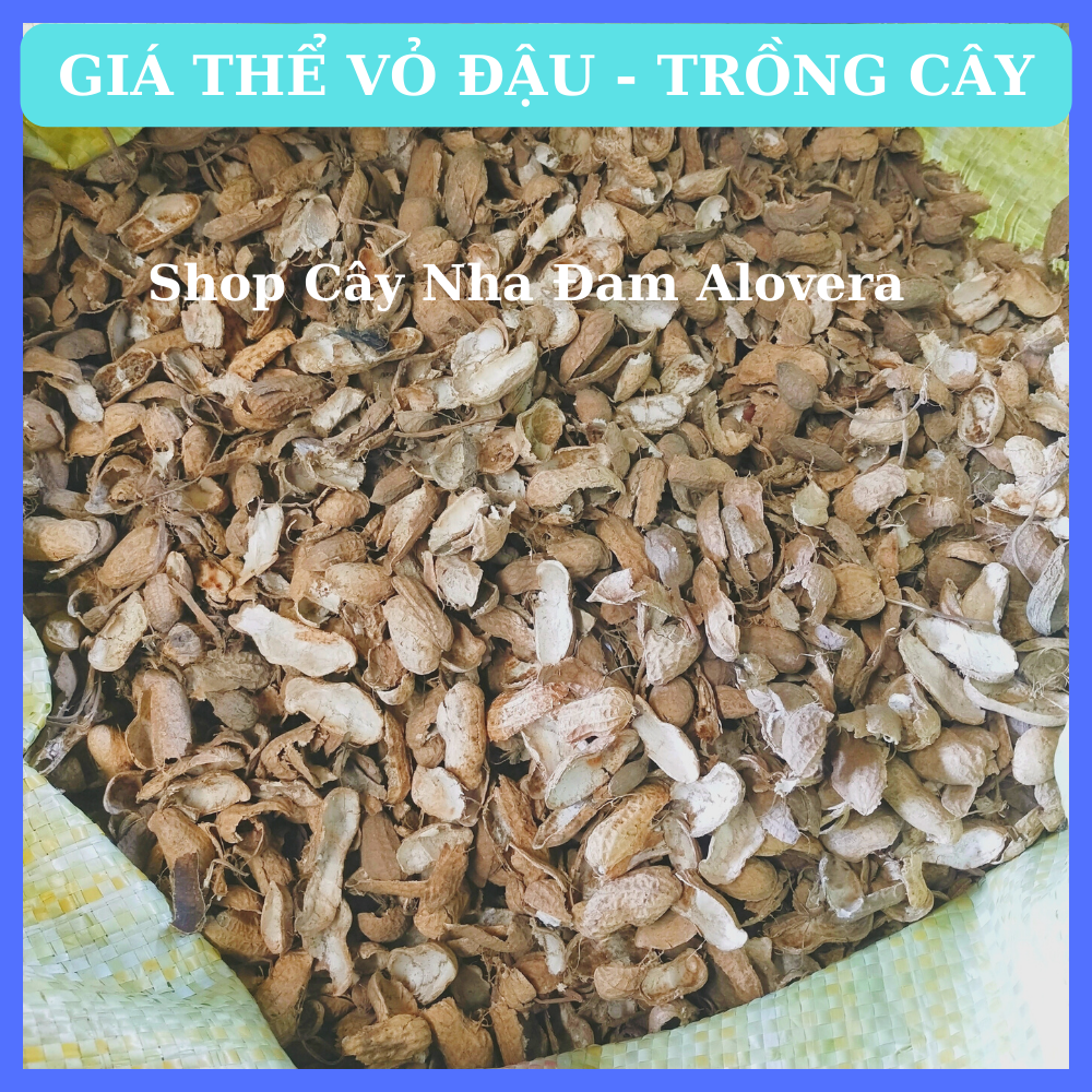 Vỏ Đậu Phộng Trồng Cây