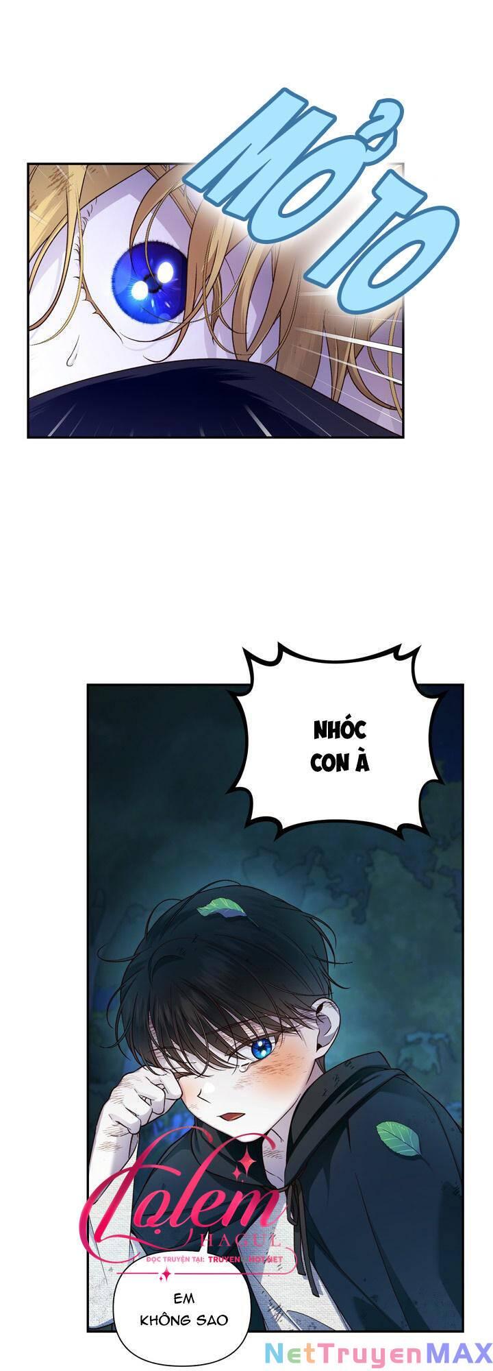 phương pháp che giấu đứa con của hoàng đế chapter 62.1 6