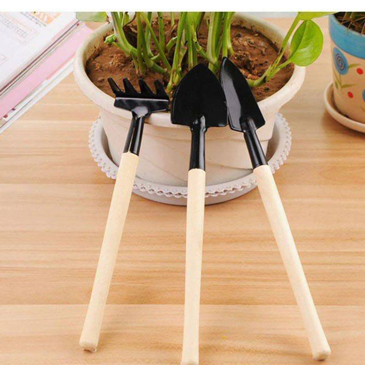 Bộ làm vườn mini