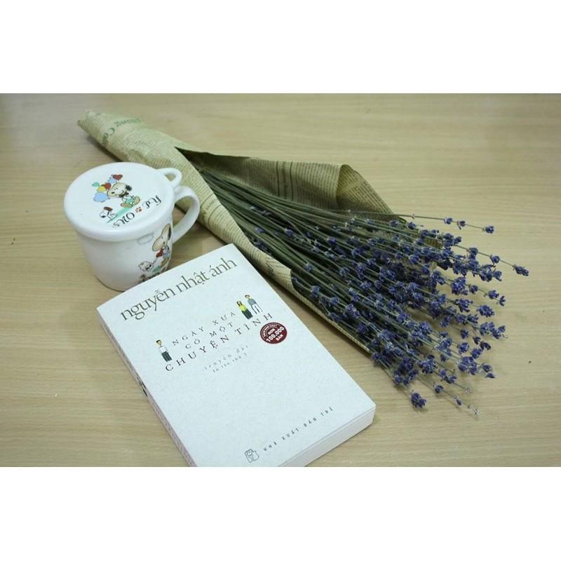 Hoa oải hương khô, Hoa lavender Pháp, Hoa khô tặng quà