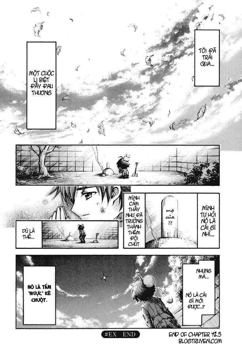 vật thất lạc của bầu trời chapter 42.5 15