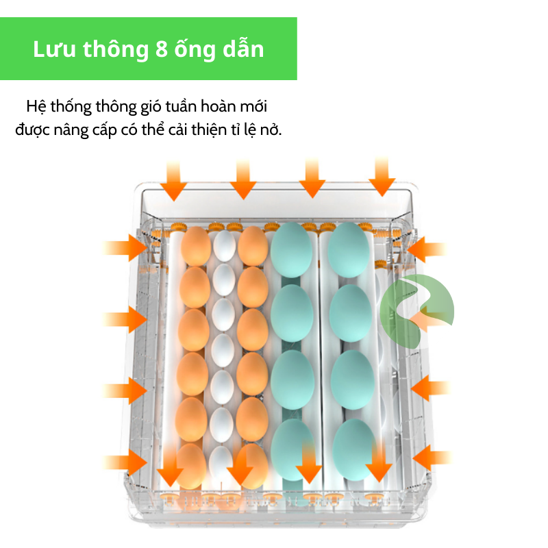 Máy ấp trứng gà mini thông minh Dương Ninh M10-130 trứng MAT03