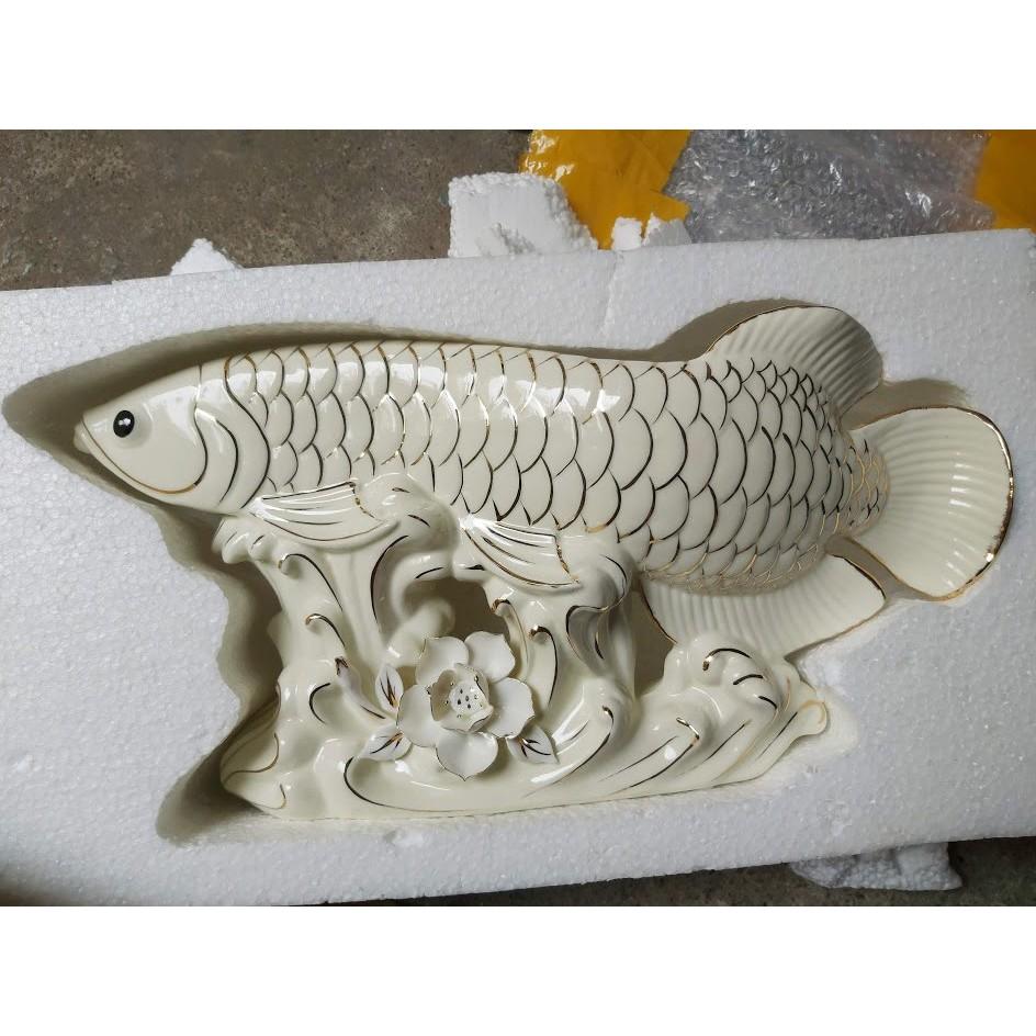 Cá rồng trang trí size lớn
