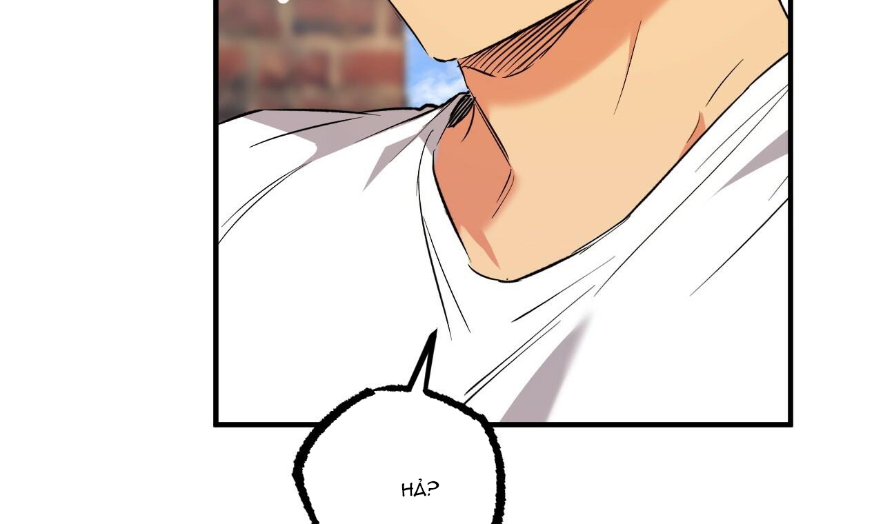 những chú thỏ của hapypy chapter 53 58