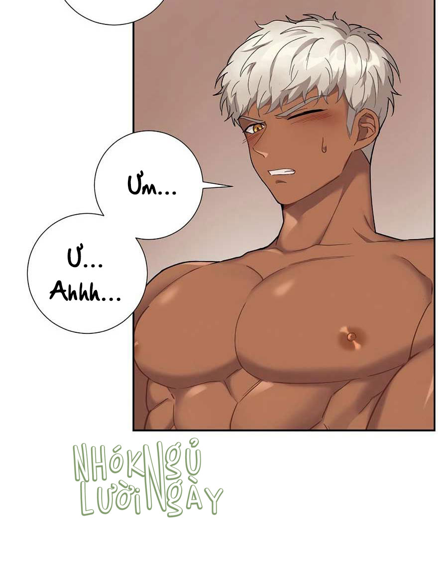 cô chủ và người hầu chapter 22 57