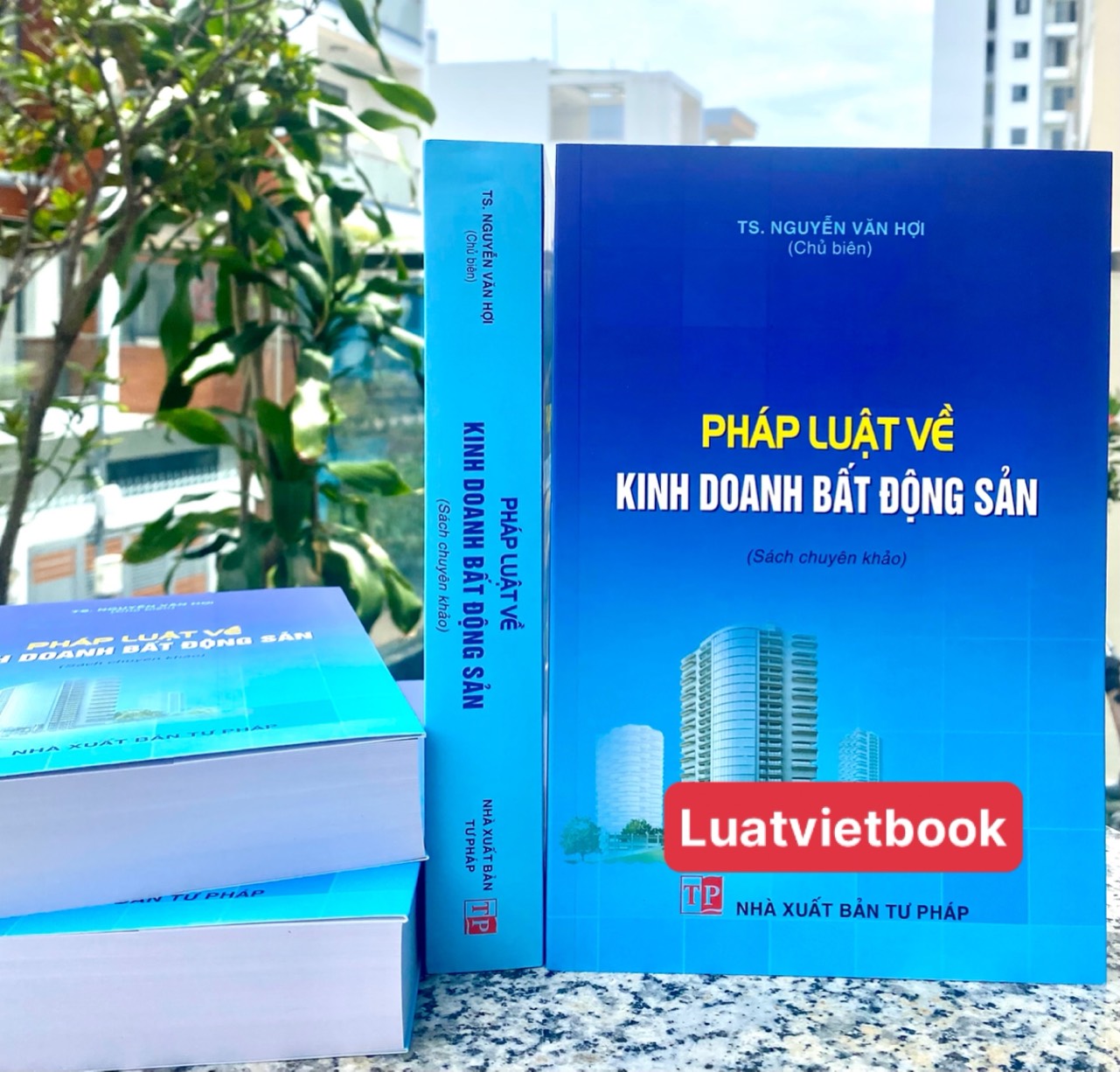 Pháp Luật Về Kinh Doanh Bất Động Sản
