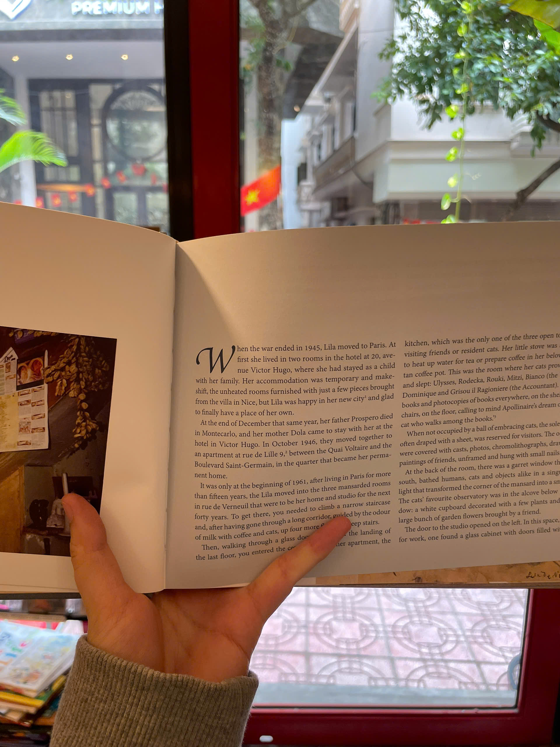 Sách - Cats of Paris by Lila De Nobili - Cats/Animals/Art book in English - Ngoại Văn - Bìa Cứng