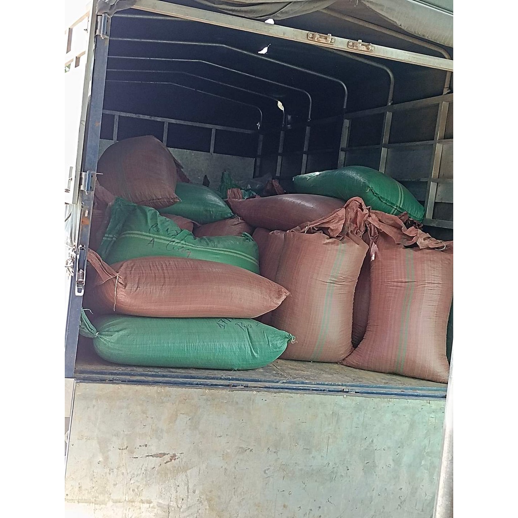 CÀ PHÊ NHÂN ROBUSTA S14 S16