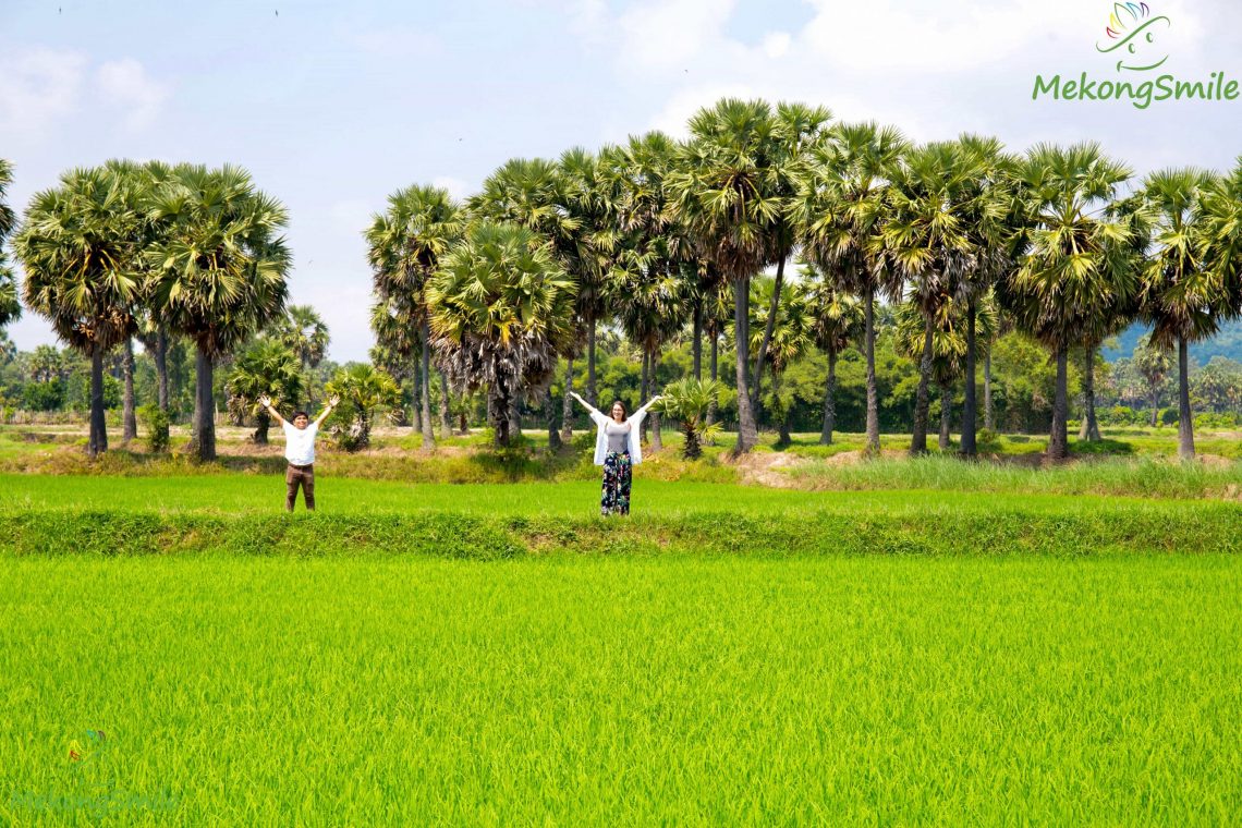 Tour rừng tràm Trà Sư 1 ngày – Viếng Miếu Bà Chúa Xứ Châu Đốc