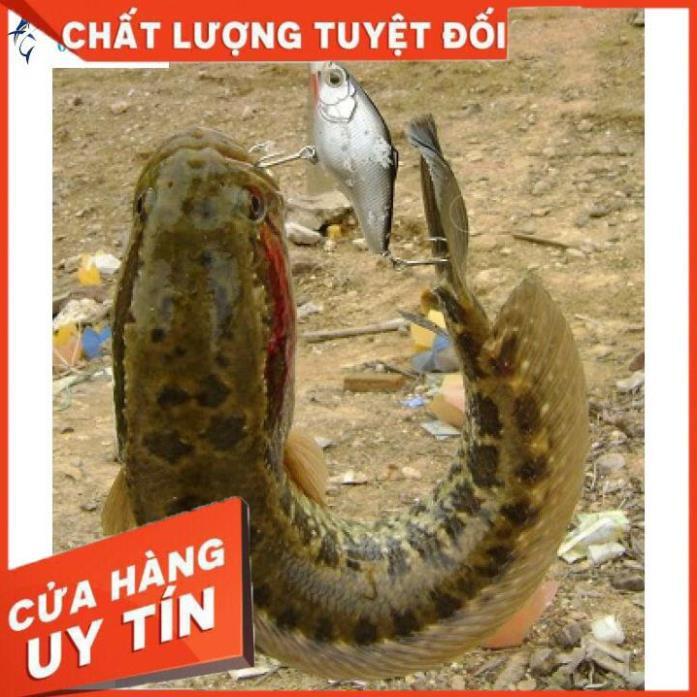 Tráng Nuôi Cá Bột Cá Giống Lồng Nuôi Cá Bột đủ kích thước-SANAMI FISHING