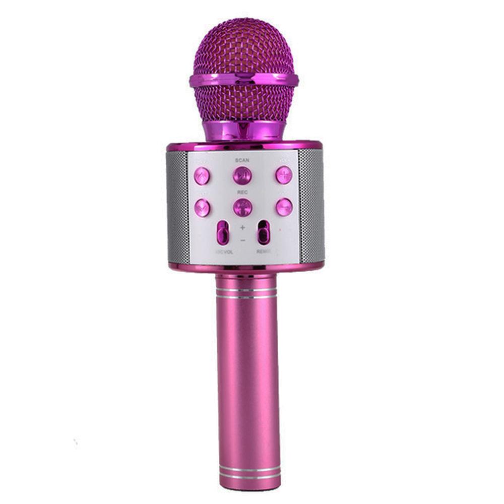 Loa Karaoke Micro không dây BT chuyên nghiệp cầm tay