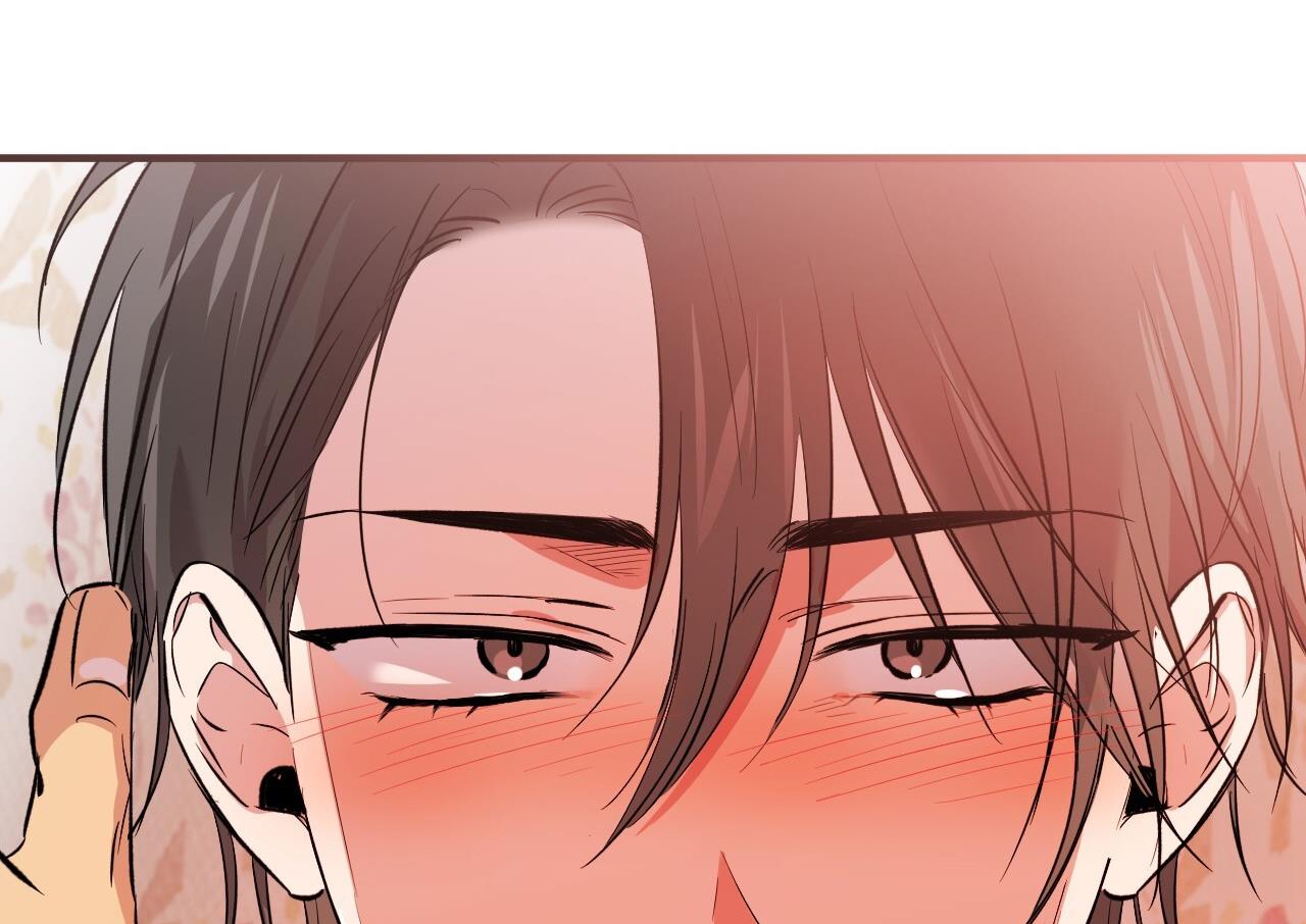 những chú thỏ của hapypy chapter 63 255