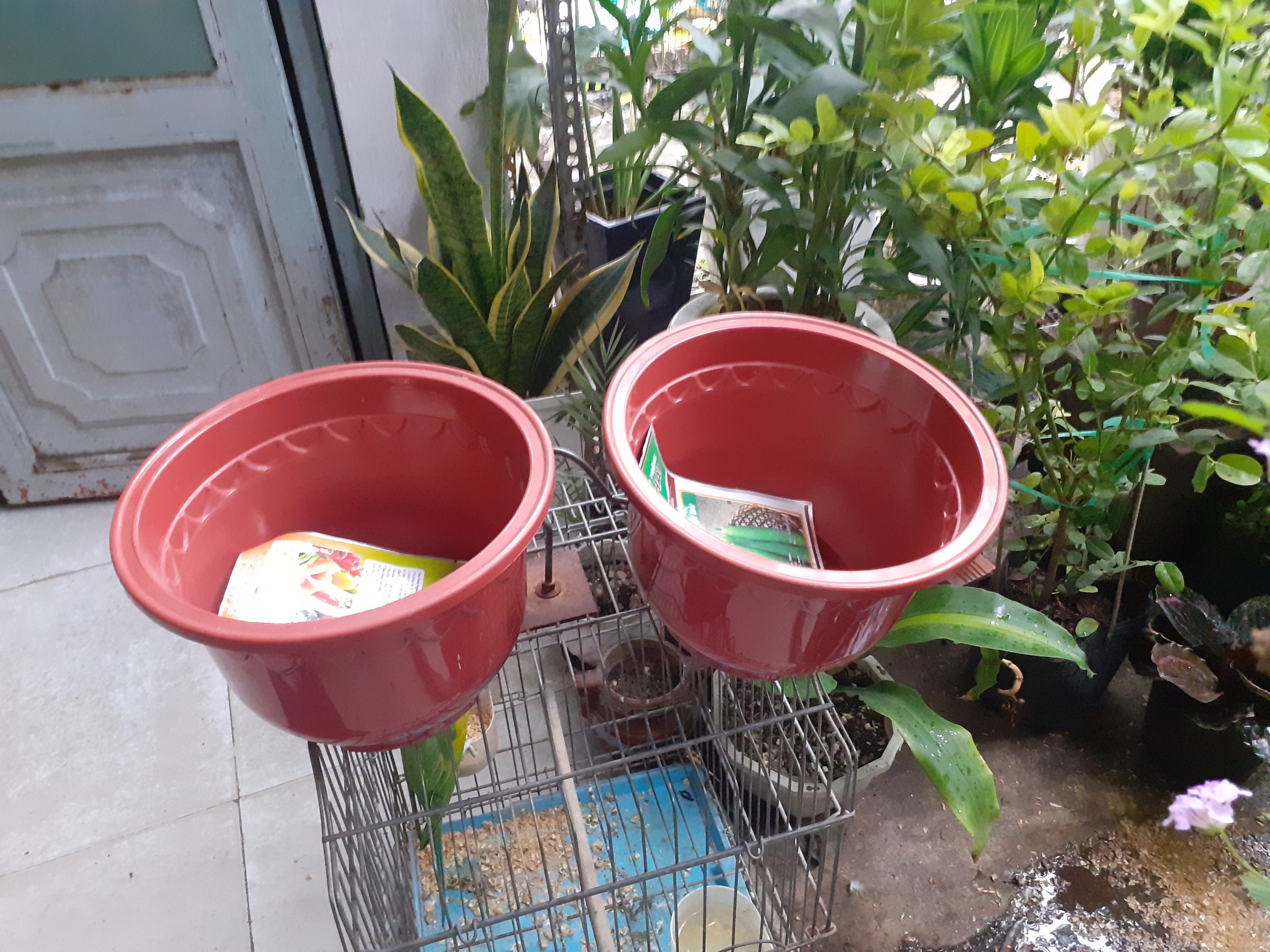 1 cái Chậu nhựa Tròn đỏ Đô dày bền trồng cây.