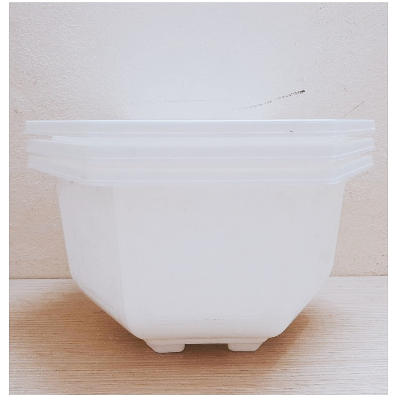 3 Châu Nhựa Bonsai Lục Giác 250x150 Trồng Hoa, Cây Cảnh - Màu Trắng