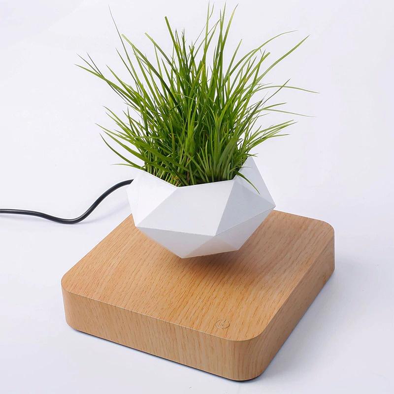 Chậu cây bay trang trí từ tính BonSai Bay Zero W Design