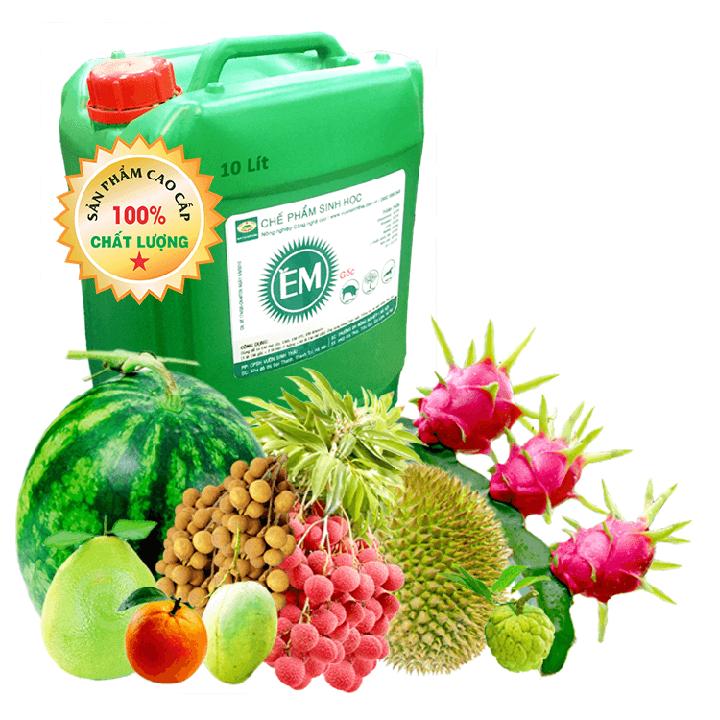 Chế phẩm sinh học EM gốc . Men vi sinh Đại Học Nông Nghiệp 1 Hà Nội. Chứa hàng tỷ bào tử hữu hiệu. Từ 1 lít EM gốc sản xuất ra 40 lít EM thứ cấp. Can 10 lít. HSD: 2 năm