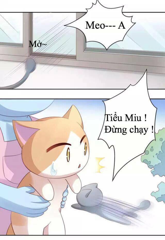 dưới móng vuốt mèo chapter 16 27